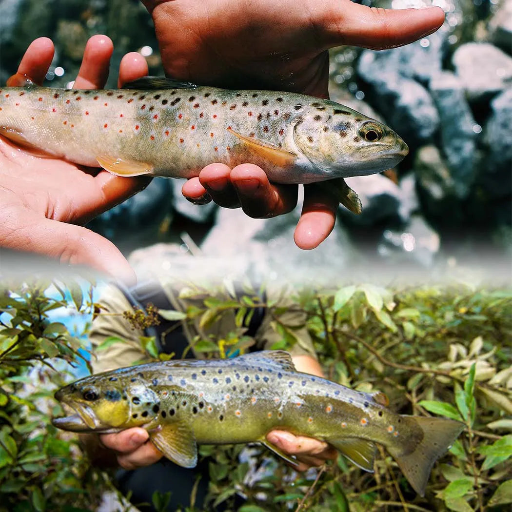 24-100Pcs Dry/Wet Flies Handmade Fly Fishing Artificial Fly Baits Lures Fly Assortment Trout Bass Fishing, with Flies Box