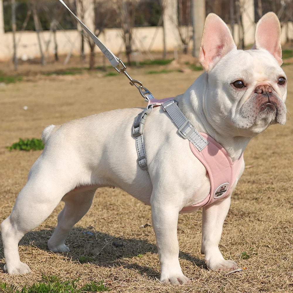 Dog Harness Leash Set Breathable Pet Chest Strap Reflective French Bulldog Vest Harness for Small Medium Dogs Puppy Collar Yorks