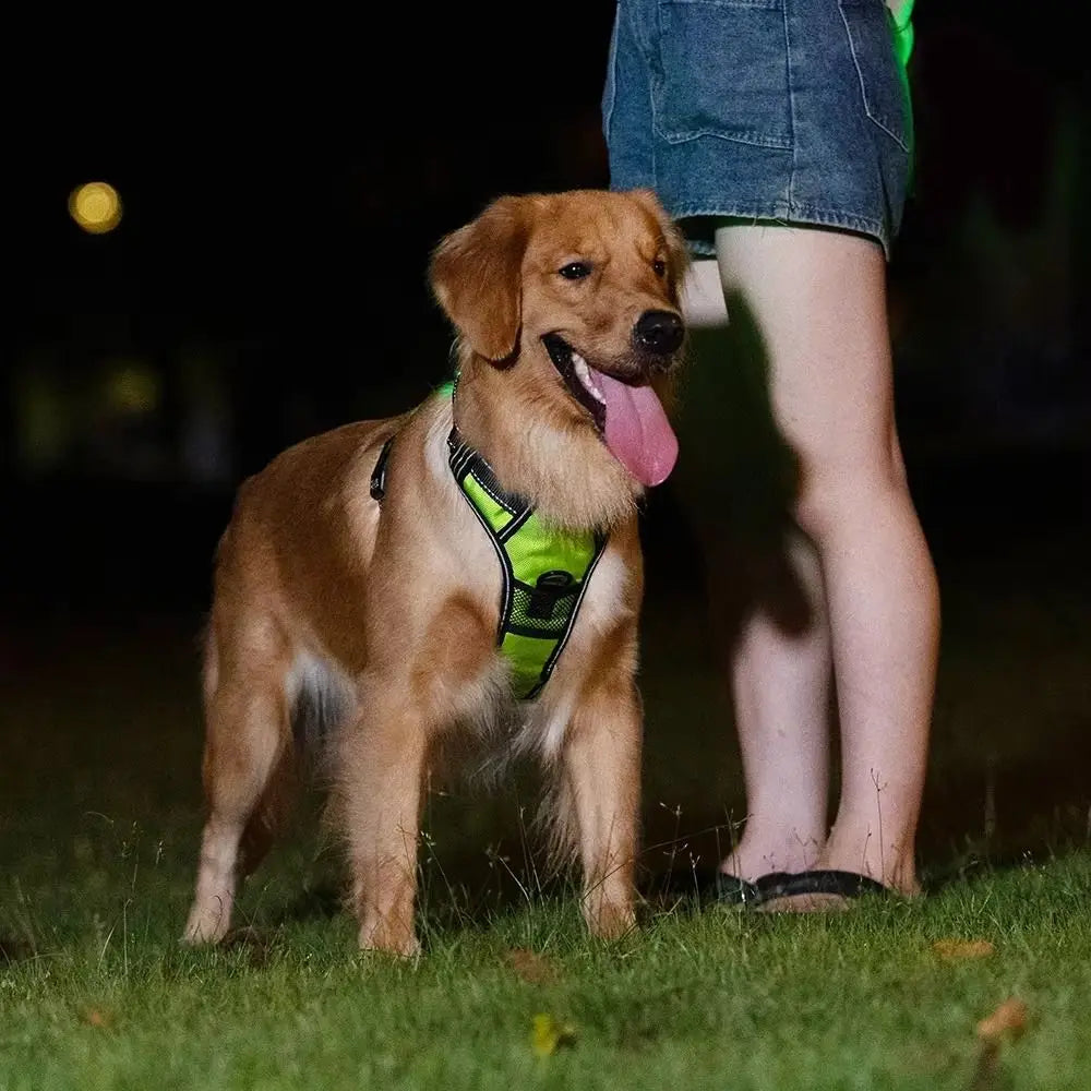 Light Up LED Dog Harness Rechargeable Adjustable Luminous Pet Chest Strap Padded Collar Soft Dog Glow Vest for Night Walking