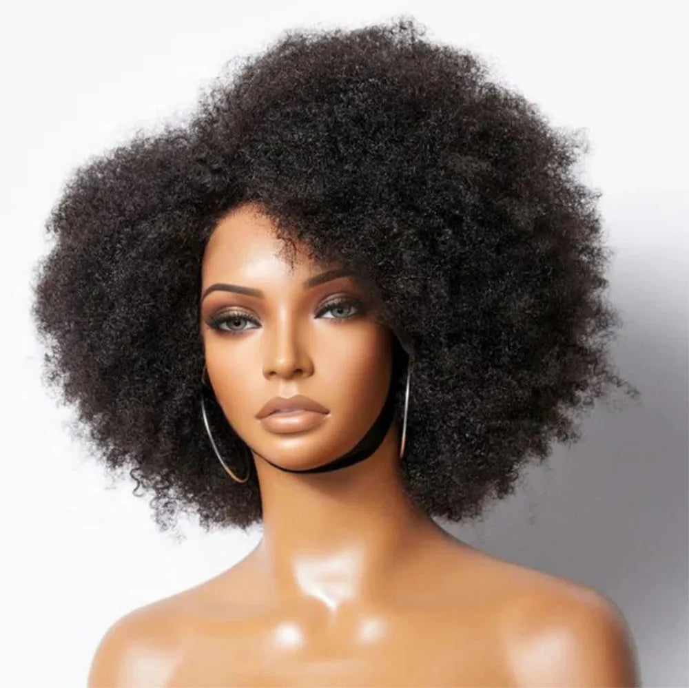 13x5x2 Side T Part Lace Wigs Afro Kinky Curly Short Bob Wig Human Hair Wigs 14 Inch Short Curly Afro Wigs for Woman 250 Density