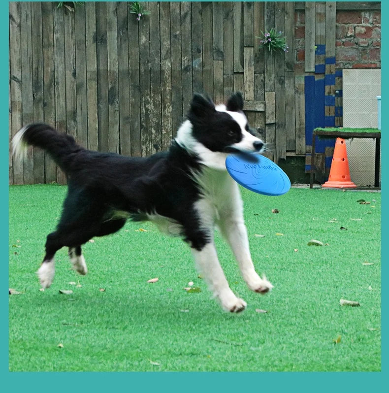 Dog Flying Saucer Interactive Funny Pet Cat Toy Dog Game Flying Discs Resistant Chew Puppy Training  Pet Dog Supplies