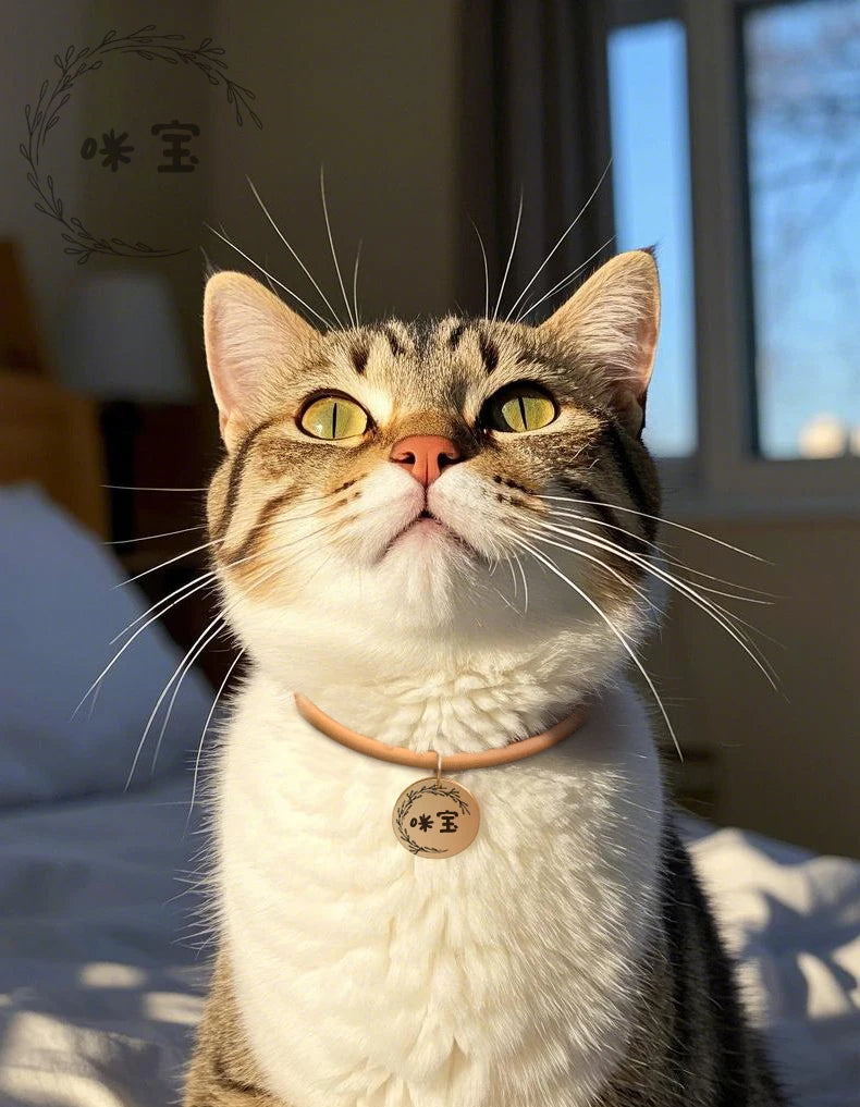 Custom Lettering Leather Cat Collar Katten Accessories Small Dog Collar and Tag Set  Collares Para Gatos Dogs Accessories