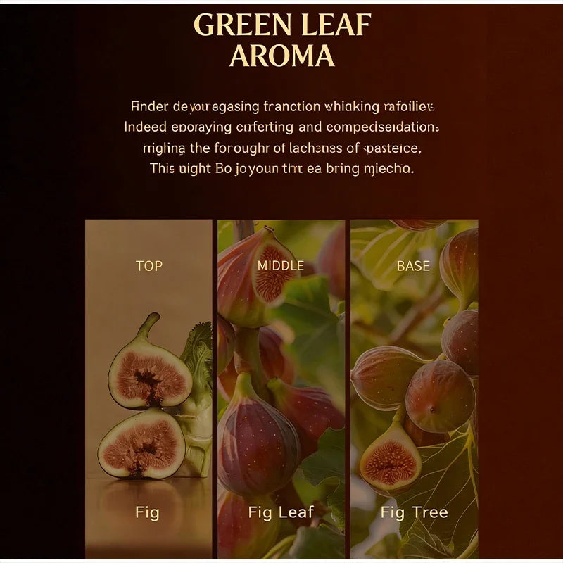 Korean Fresh Fig Sandalwood Perfume,high-end Romantic Rose Musk Woody Eau De Toilette Natural Long-lasting Fragrance Body Spray