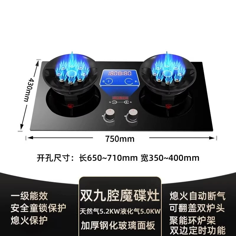 Gas stove, double burner, household LPG tabletop/natural gas stove, high-power built-in gas stove