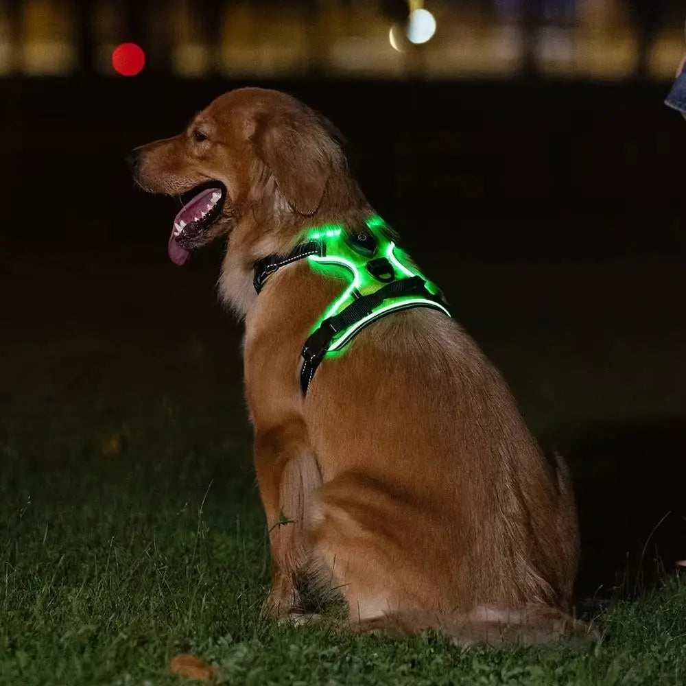 Light Up LED Dog Harness Rechargeable Adjustable Luminous Pet Chest Strap Padded Collar Soft Dog Glow Vest for Night Walking