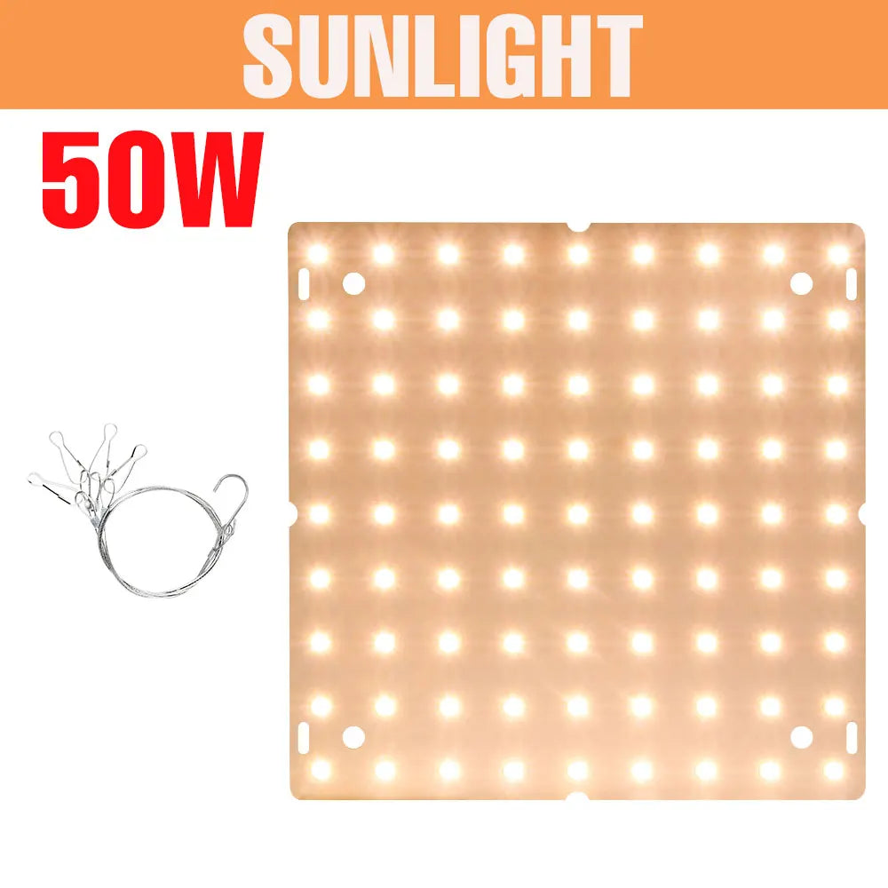 200W LED Grow Light Full Spectrum Quantum Board Plant Cultivation Lamp For Indoor Potted Flower Greenhouse Tent Tomato Vegetable