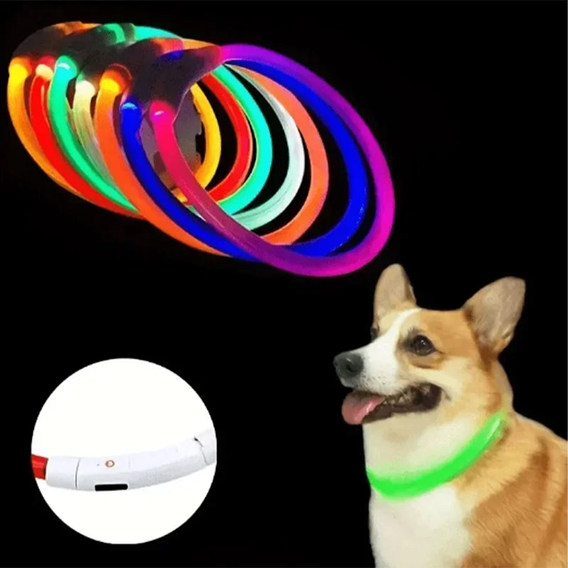 Led Luminous Dog Collar Rechargeable Cat Collar 3 Modes Anti-lost Night Collar Pet Supplies Suitable For Large Medium Small Dogs