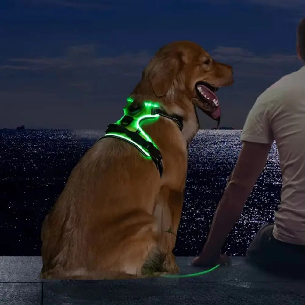 Light Up LED Dog Harness Rechargeable Adjustable Luminous Pet Chest Strap Padded Collar Soft Dog Glow Vest for Night Walking