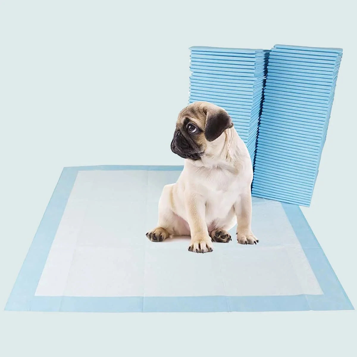 Disposable Pet Training Pads Super Absorbent Leak-Proof Dog Pee Pads for Puppy Dogs Cats Potty Training