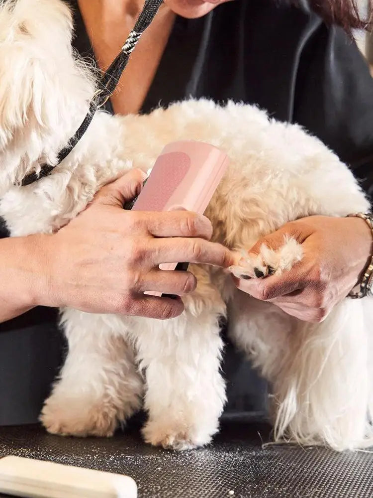 Multifunctional Pet Deshedding Brush Dog Hair Remover Cat Grooming Comb Pet Groom Brush Deshedding Grooming Tool For Dog