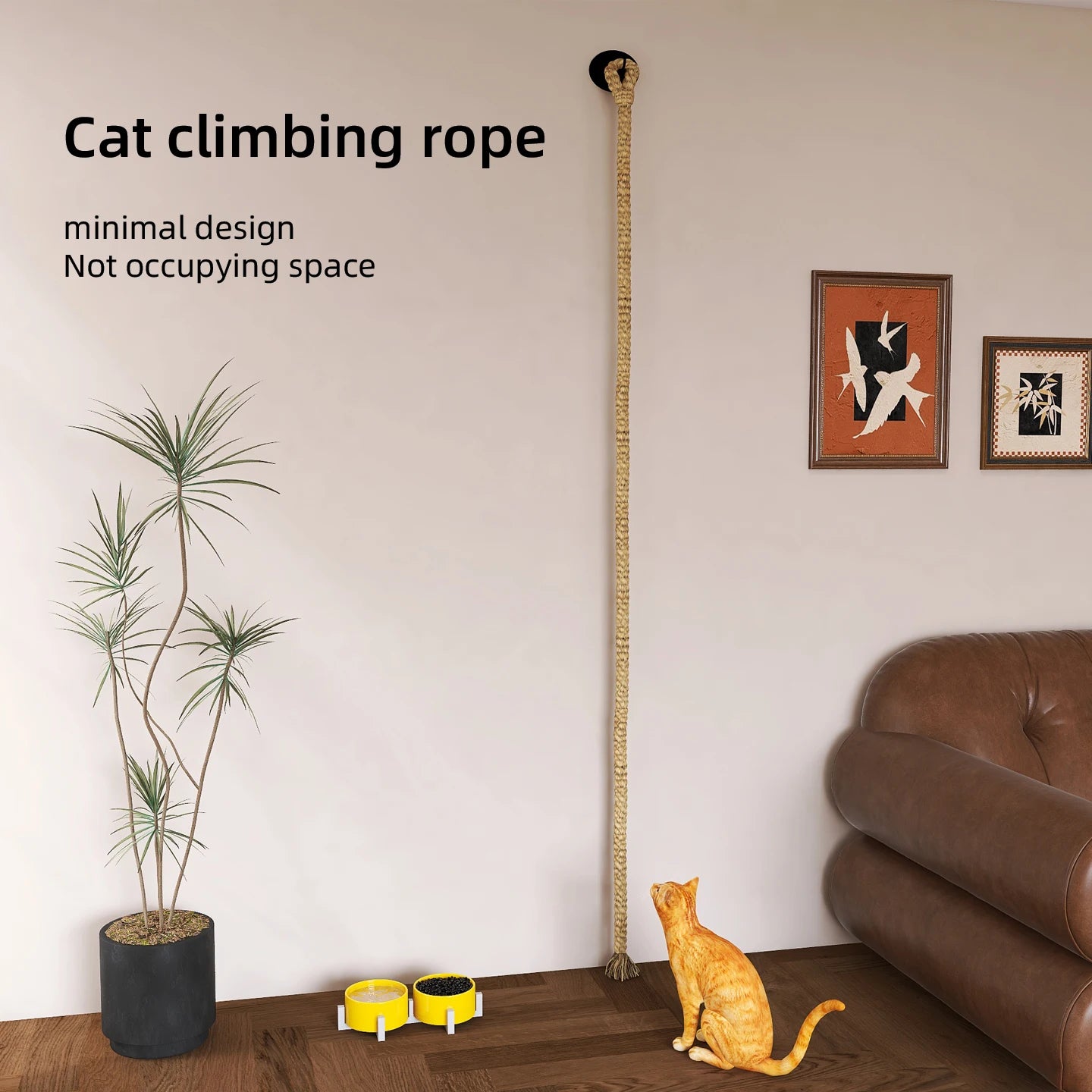 1pc wall-mounted cat scratcher with sisal rope, climbing ladder & play rope. Perfect indoor cat toy for all sizes