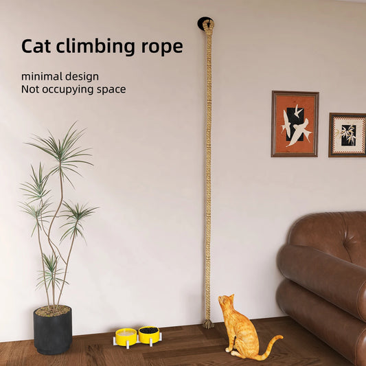 1pc wall-mounted cat scratcher with sisal rope, climbing ladder & play rope. Perfect indoor cat toy for all sizes
