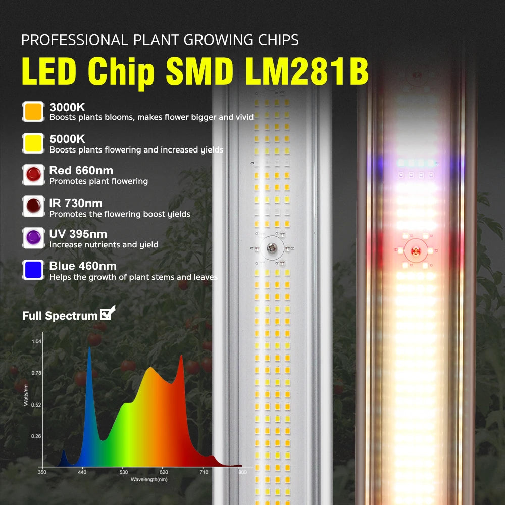 Full Spectrum LED Grow Light 360W 720W AC100-277V 660nm 730nm 395nm LM281B High PPFD Growth Lamp For Greenhouse Plants