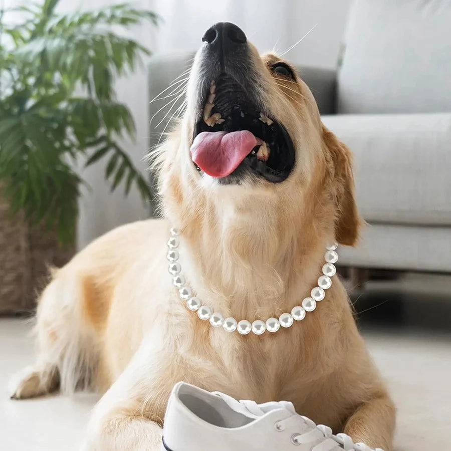 Pearl Dog Collar, Stainless Steel Wire Rope,Pearl Necklace Jewellery Accessories for Medium Large Dogs Occasions and Gatherings