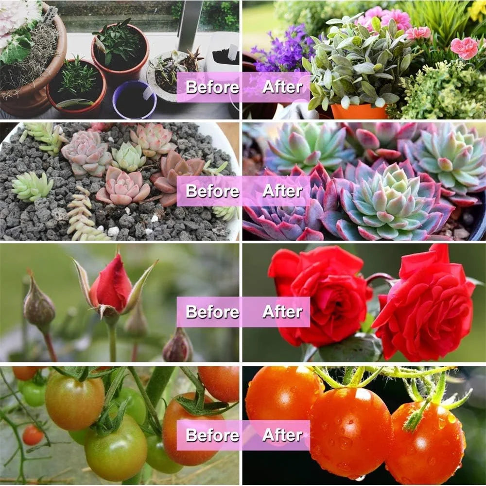 LED plant growth light, plant light clip, timed full spectrum sunlight, succulent flower herb seedling supplement light