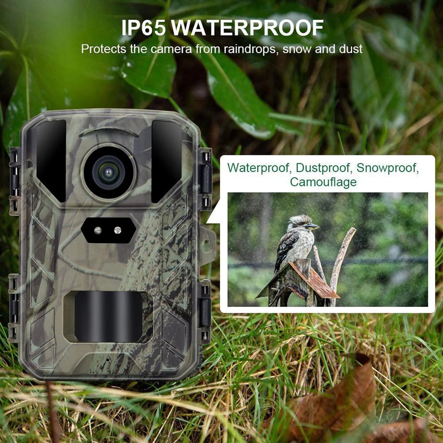 24MP 4K1080P Mini Trail Hunting Camera Wildlife Night Vision Wild Hunter Cam Mini800 Photo Trap Surveillance Tracking
