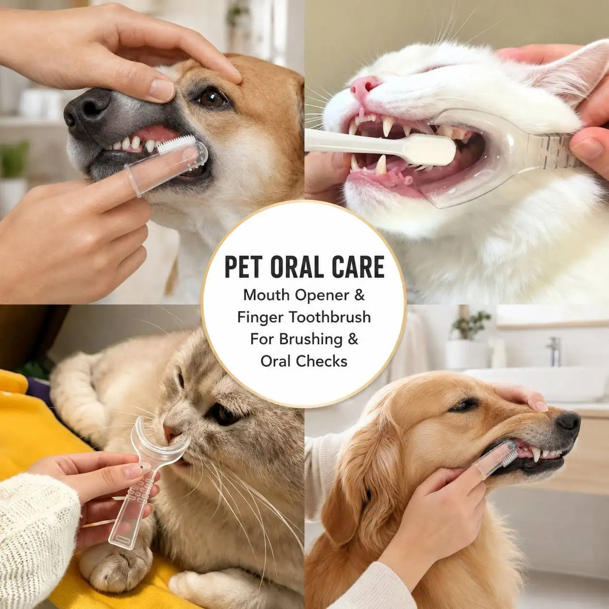 1 set of pet oral cleaning, soft silicone finger brush, suitable for dogs and cats, cleaning the teeth of puppies and kittens