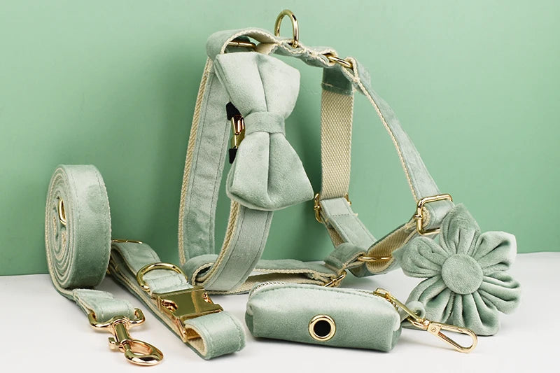 Mint Green Velvet Dog Collar And Leash Set For Dogs Custom Engraved Nameplate Pet Supplies Dog Leash Velvet 17