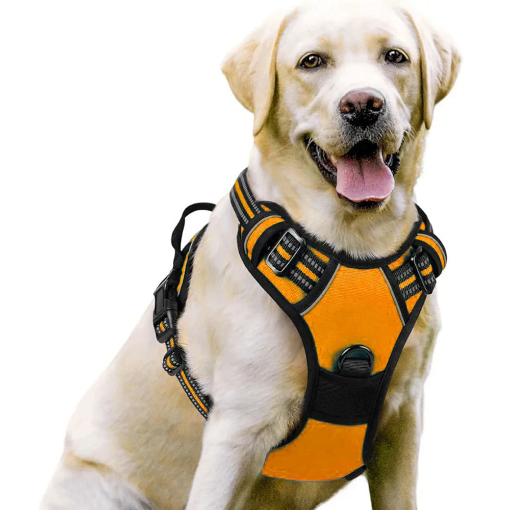 Dog Vest-Style Harness Leash, Pet Vest Leash, Four-Color Optional Nylon Material Dog Harness, Suitable for Medium and Large Dogs, Dog Harness Pet Supplies