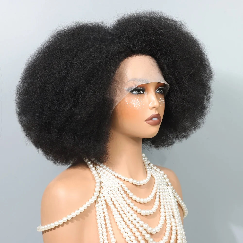13x5x2 Side T Part Lace Wigs Afro Kinky Curly Short Bob Wig Human Hair Wigs 14 Inch Short Curly Afro Wigs for Woman 250 Density