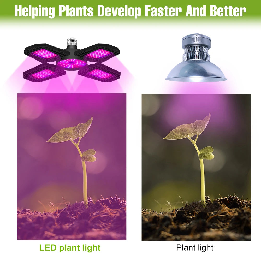 250W E27/E26 LED Growing Lamp Full Spectrum Foldable Plant Fill Lighting Vegetable Fruit Hydroponics Cultivation 100W/150W/200W