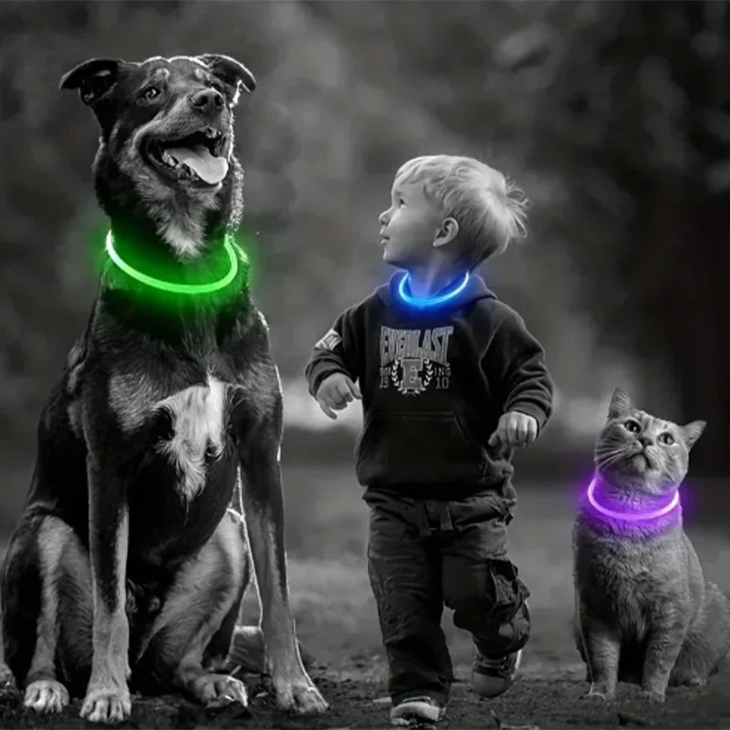Led Luminous Dog Collar Rechargeable Cat Collar 3 Modes Anti-lost Night Collar Pet Supplies Suitable For Large Medium Small Dogs