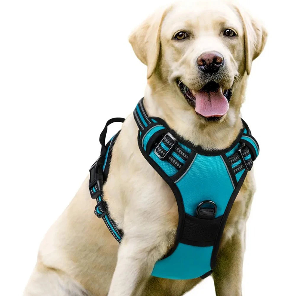 Dog Vest-Style Harness Leash, Pet Vest Leash, Four-Color Optional Nylon Material Dog Harness, Suitable for Medium and Large Dogs, Dog Harness Pet Supplies