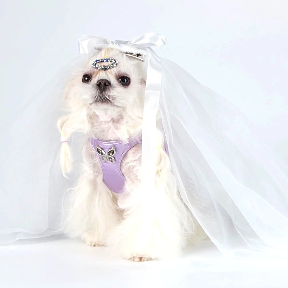 Luxury Dog Harness and Leash Set for Small Dogs, Elegant Mesh Vest Harness with Bow Tie, Perfect for Maltese Chihuahua Puppyl