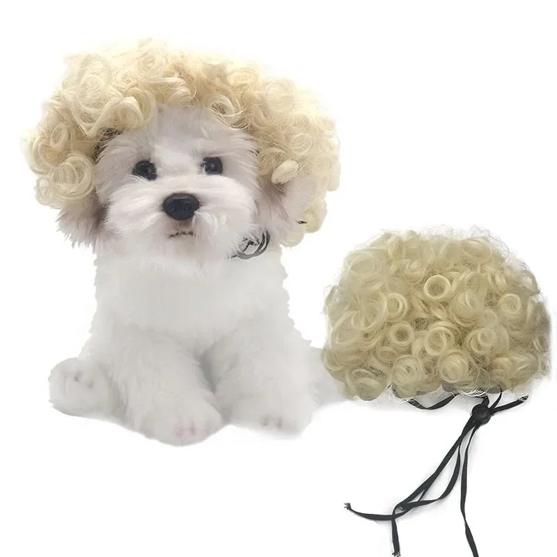 Funny Pet Cosplay Dog Wig Cat Grooming Supplies Fashion Headwear Halloween Curly Hair Straight Hair Cat Accessories Perros