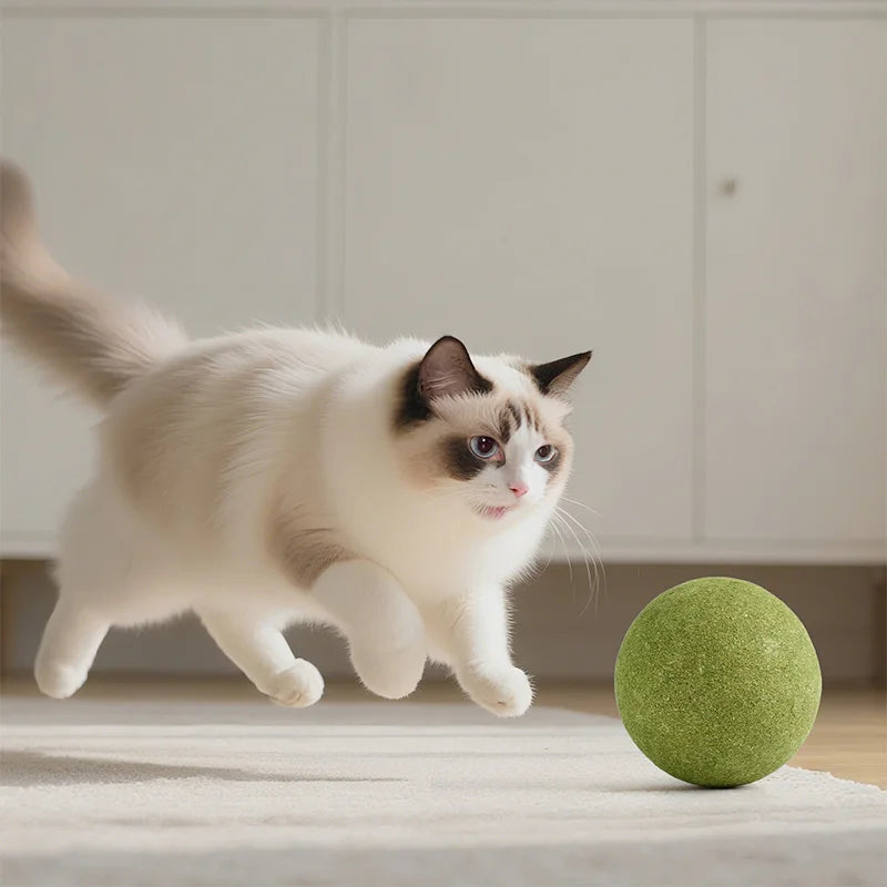 10cm Super Large Catnip Ball Lickable Natural Catnip Toys Self-Hi Relieving Stuffy For Cat Kitten Indoor Outdoor Playing Cat Toy