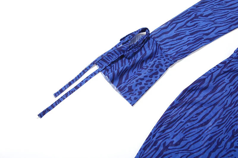 Mozision Deep V Neck Long Sleeve Sexy Maxi Dress Women Gown Elegant Leopard Print Mesh See Through Club Party Long Dresses