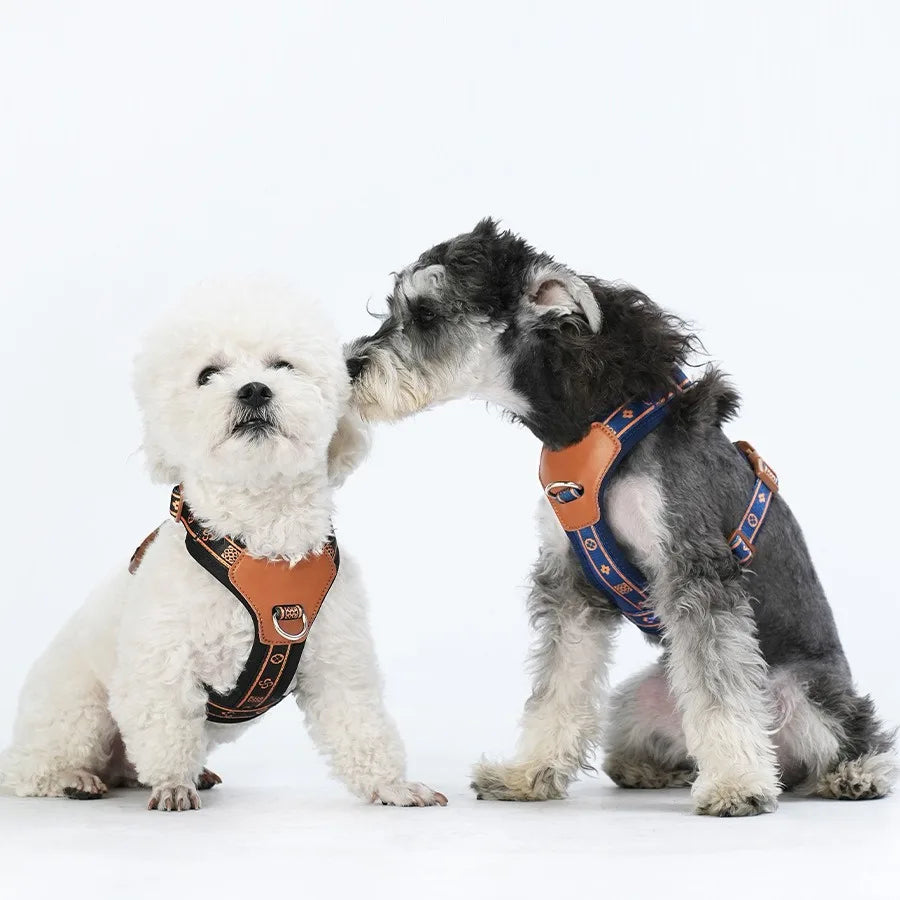 Pet Dog Harness with Durable Webbing  Anti-Deformation Alloy Ring 4 Points Adjustable Breathable Reflective Pet Leash Small Dog
