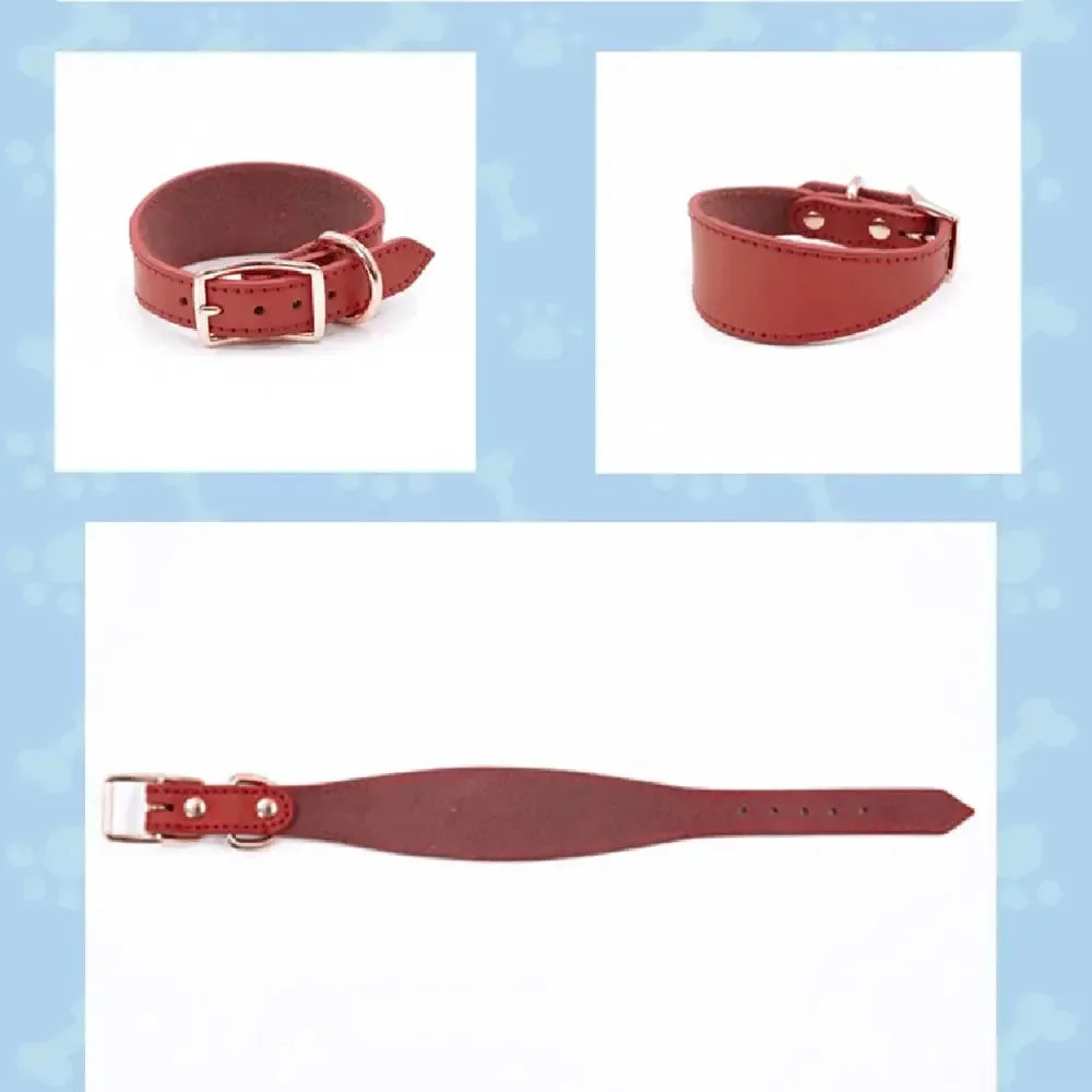 Simple and Adjustable Real Leather Greyhound Collar Wide Huibit Collar Adjustable for Small and Medium Dog Collars Pet Supplies