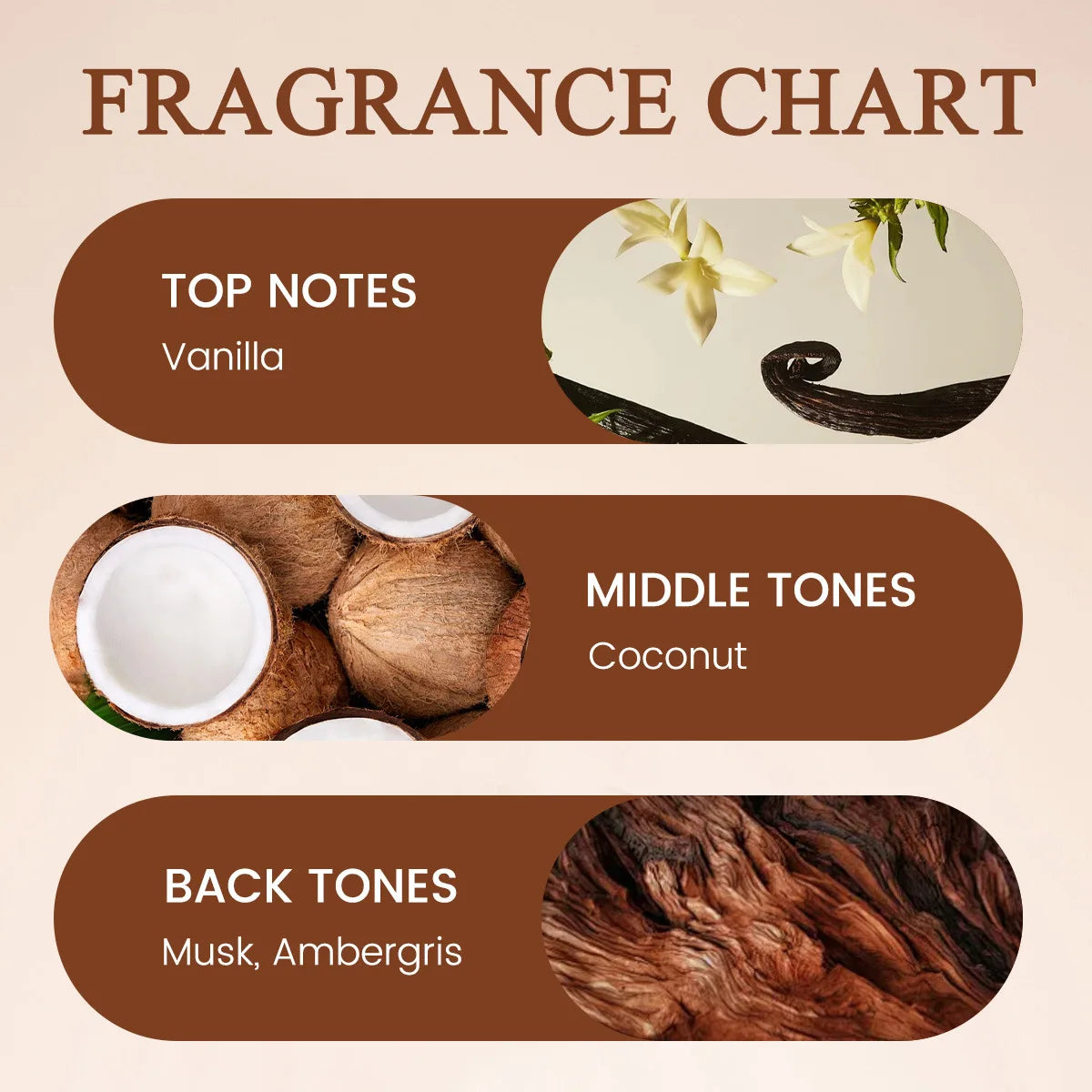 Vanilla Coconut Gourmet Flavor Fresh Eau De Toilette Long-lasting Fragrance Unisex Luxury Roll-on Perfume 10ml