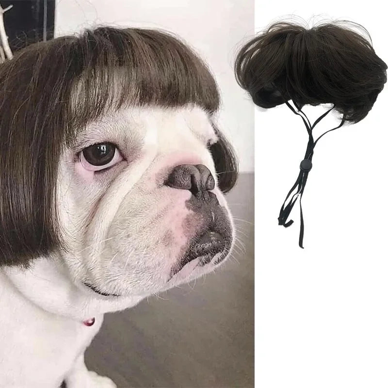 Funny Pet Cosplay Dog Wig Cat Grooming Supplies Fashion Headwear Halloween Curly Hair Straight Hair Cat Accessories Perros