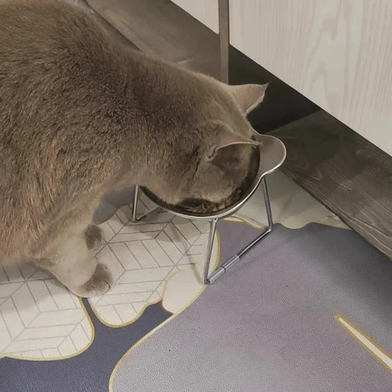 Premium 304 Stainless Steel Raised Cat Bowl with 15° Tilt Neck Guard Shatterproof Healthy Feeding for Senior Cats Kitten Puppy