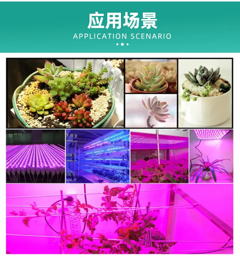 LED Bulb Plant Growth Spotlight Full Spectrum Fill Light Plant Light