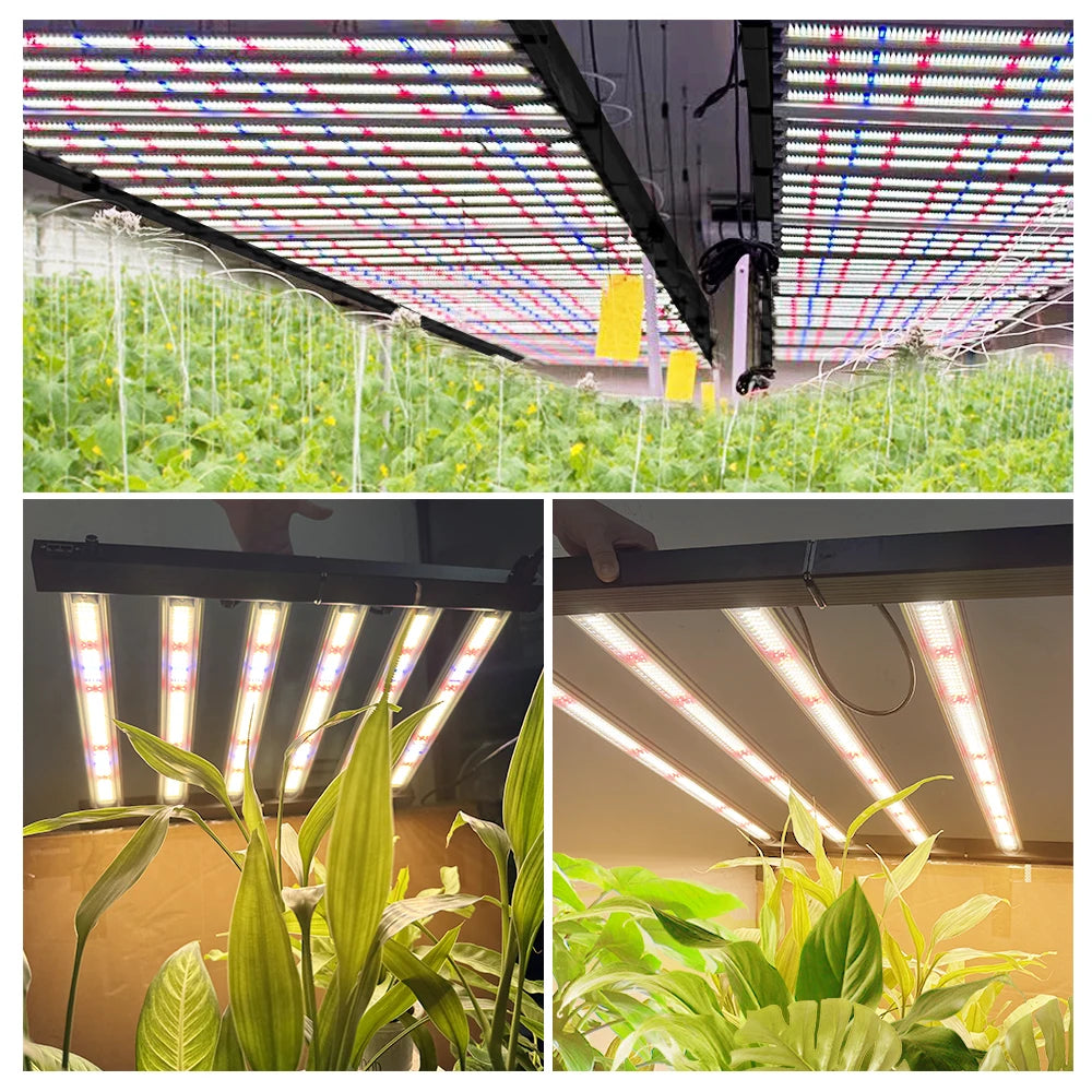 Full Spectrum LED Grow Light 360W 720W AC100-277V 660nm 730nm 395nm LM281B High PPFD Growth Lamp For Greenhouse Plants