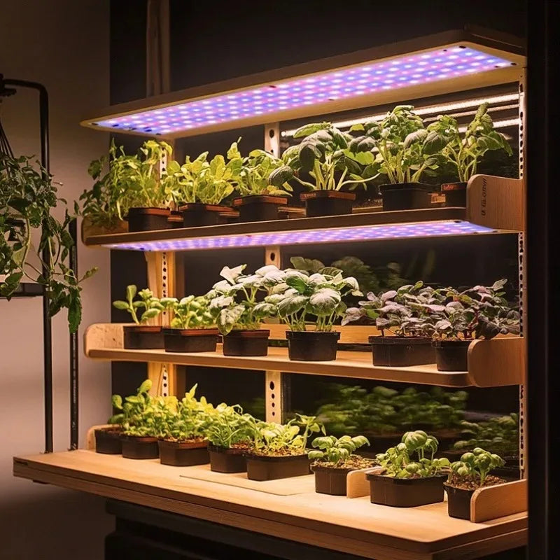LED Plant Grow Light Quantum Board Full Spectrum USB Panel Lamp for Indoor Greenhouse Nursery Hydroponic Succulent Seedling Use