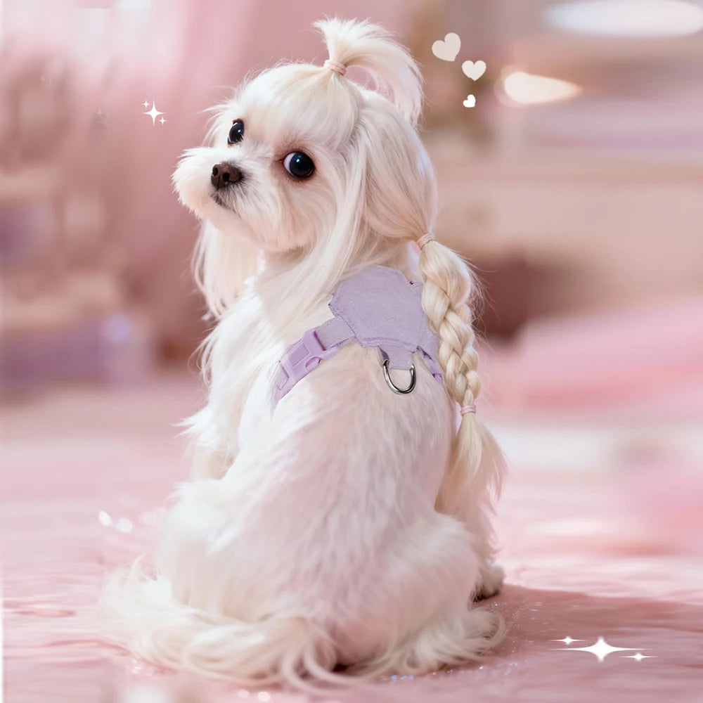 Luxury Dog Harness and Leash Set for Small Dogs, Elegant Mesh Vest Harness with Bow Tie, Perfect for Maltese Chihuahua Puppyl