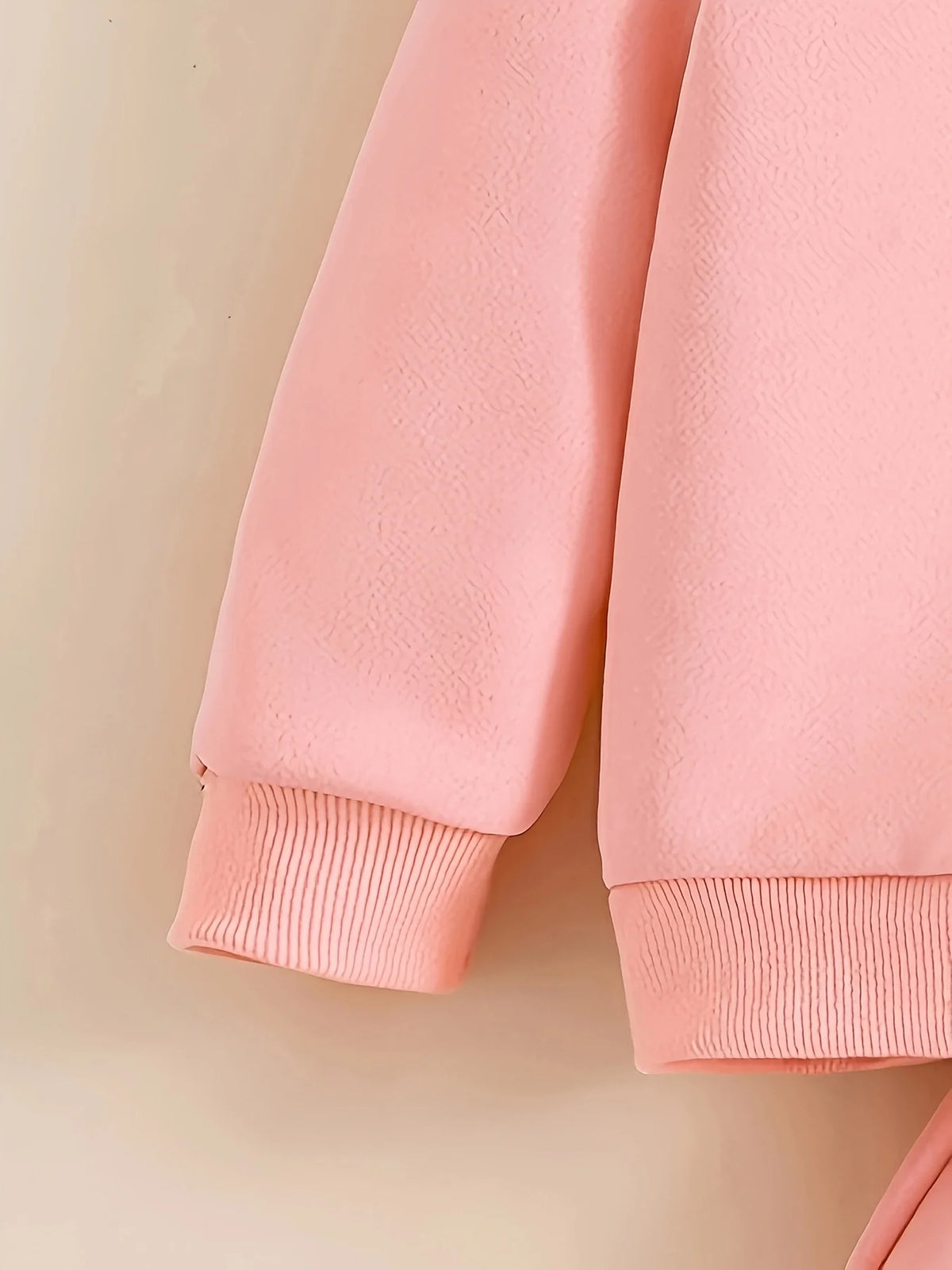 Baby girl cute cartoon cat pattern long sleeved fleece hooded sweatshirt+casual simple pants set, spring and autumn two-piece se