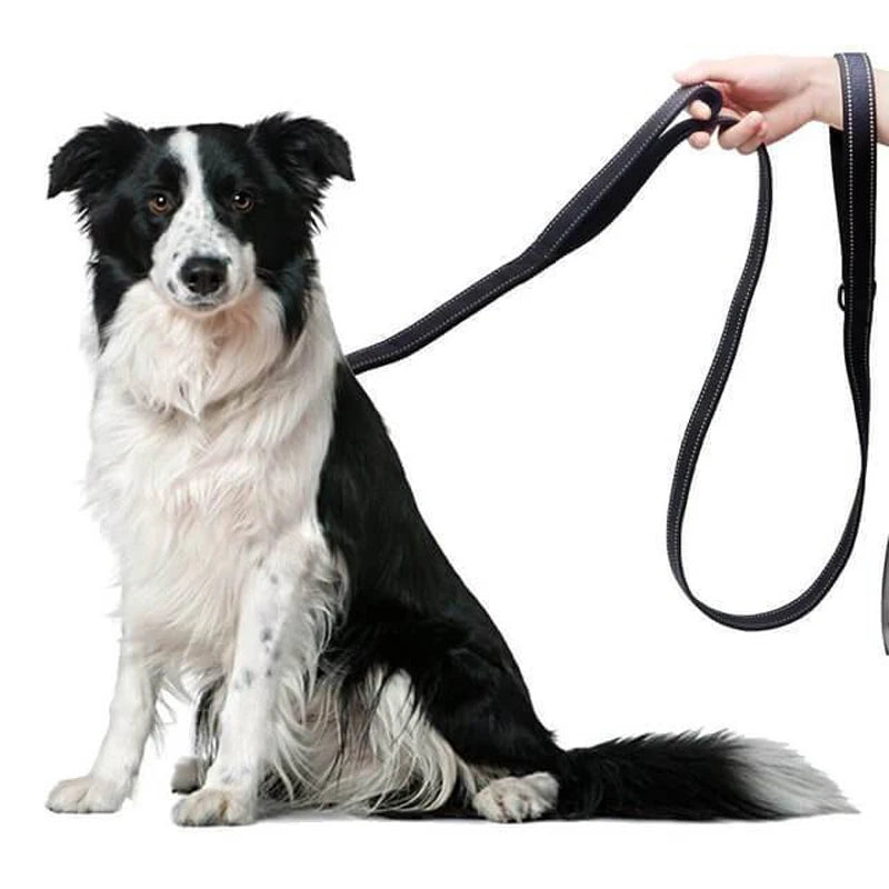 Dog Leashes Outdoor Travel Dog Training Chain Heavy Duty Double Handle Lead for Control Safety Nylon Dog Leash Training Control