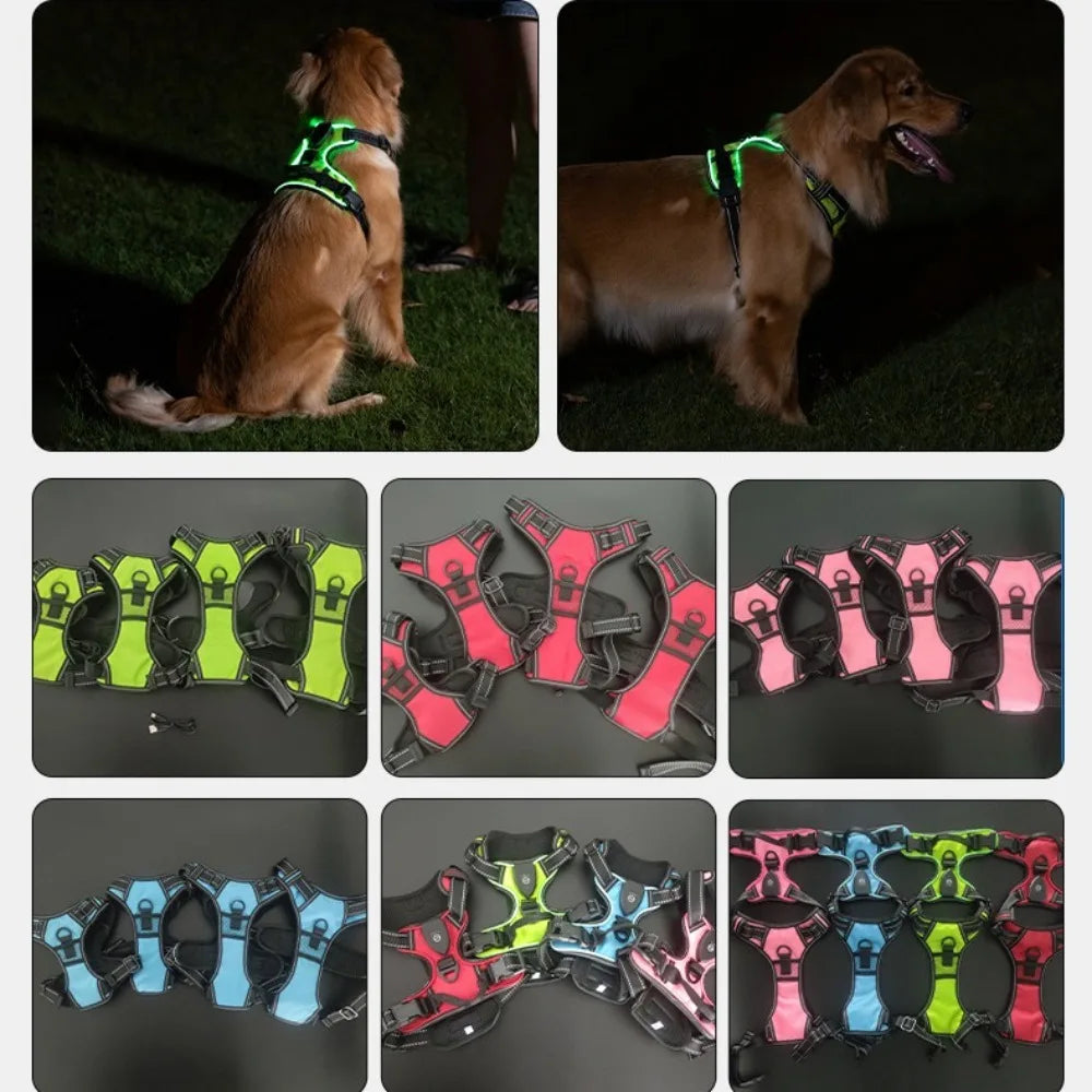 Light Up LED Dog Harness Rechargeable Adjustable Luminous Pet Chest Strap Padded Collar Soft Dog Glow Vest for Night Walking