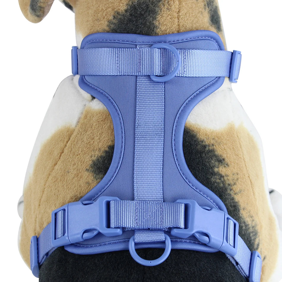 New Breathable Dog Harness Adjustable Chest Strap Outdoor Walk Leisure Harness for Small Dogs Medium Pet Accessories