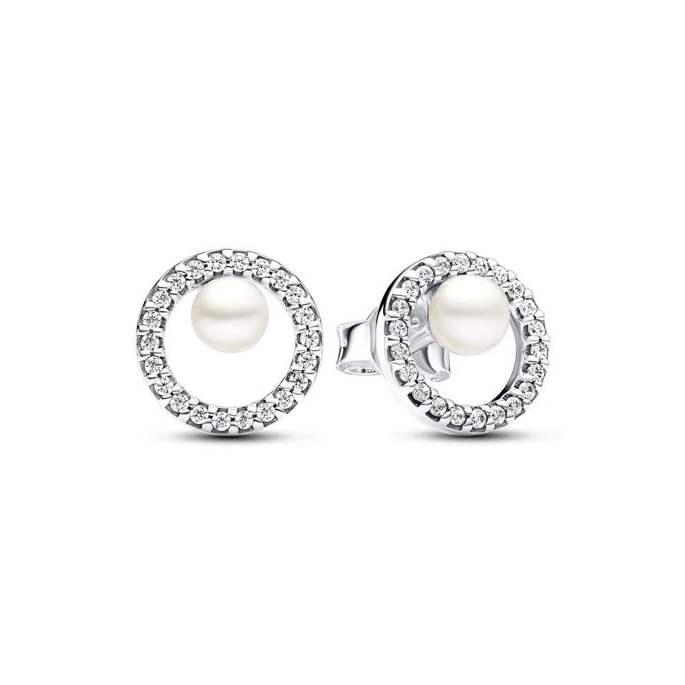 925 Silver Stud Earrings Hoop Earrings For Women Rose Flower Strawberry Butterfly Daisy Earrings Set Fashion Jewelry Gift