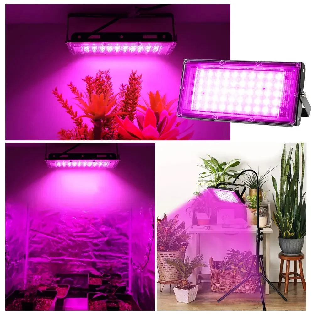 Full Spectrum LED Grow Lights 50/300W Plant Lamp Indoor Plants Phyto Lamp Greenhouse Hydroponic Plant Vegetable Growing Lamp