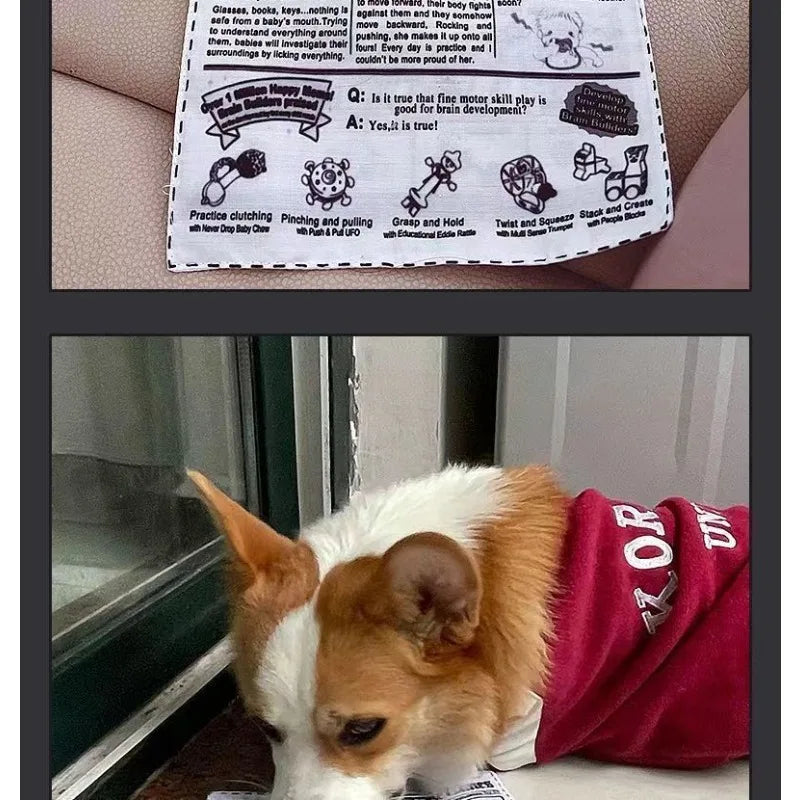 2026 New Pet Dog Sound Toys, Bite-resistant, Self-lifting Boredom Artifact, Sound Newspaper, J, Q, K, Sound Paper Toy Supplies.