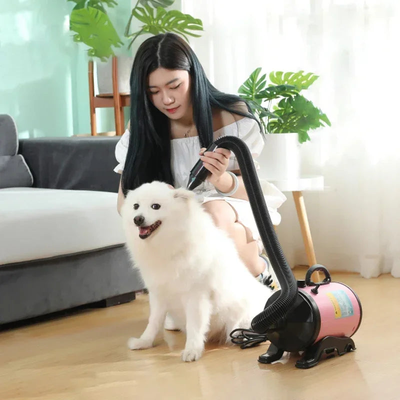 2800W High-power Dogs Hair Dryer Cat Grooming Water Blower Motor Warm Wind Adjustable Blow-Dryer Professional Drier Pet Supplies