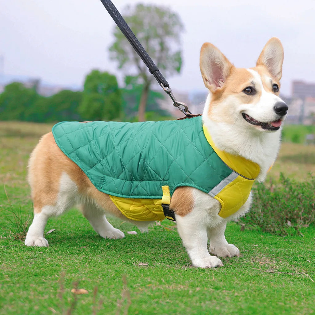 New Winter Pet Dog Clothes Thickened Fighting Dog Clothes Reflective Dog Cotton Clothes Pet Clothes