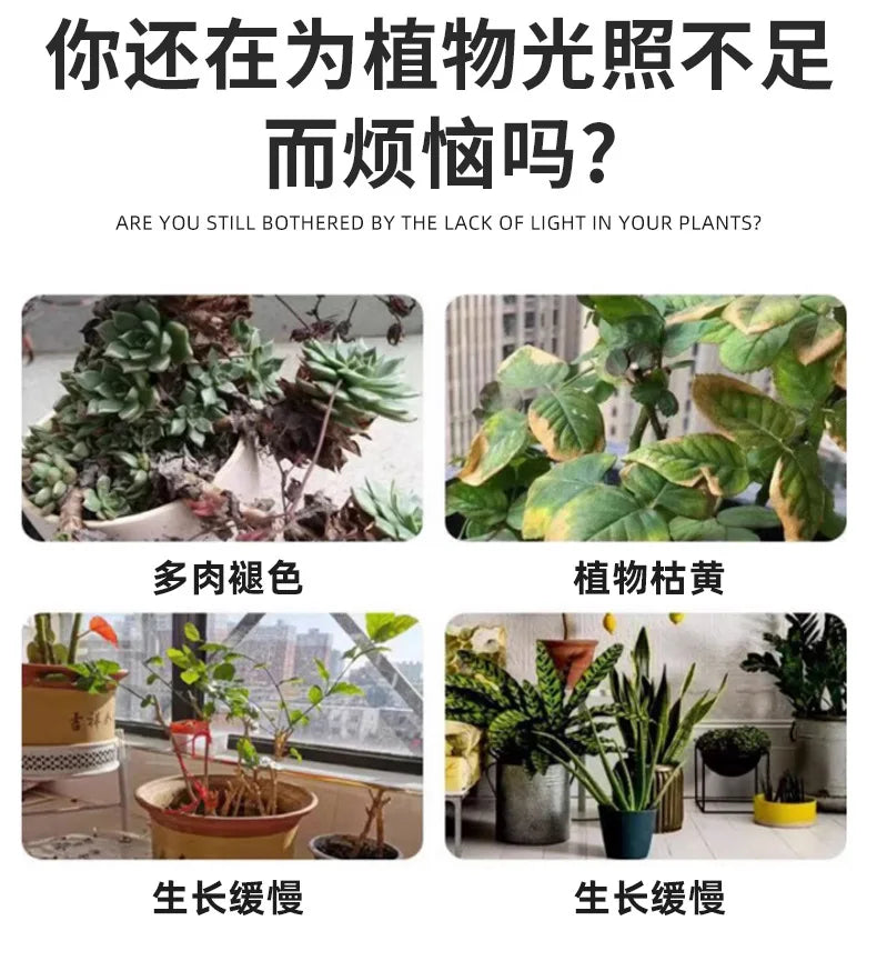 LED Bulb Plant Growth Spotlight Full Spectrum Fill Light Plant Light